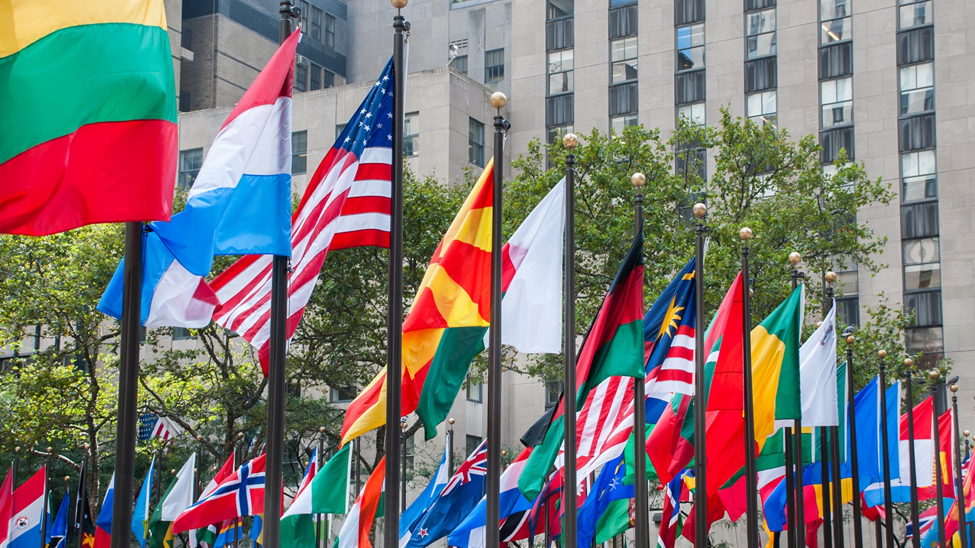 flags of many nations in front of the united nations
