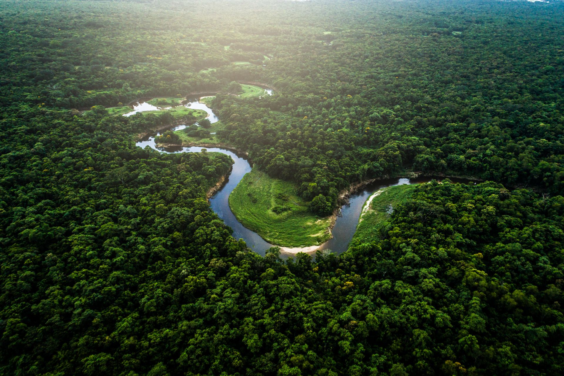 Mata Atlantica Atlantic Forest In Brazil - Amazon Rainforest, Amazon River, Brazil